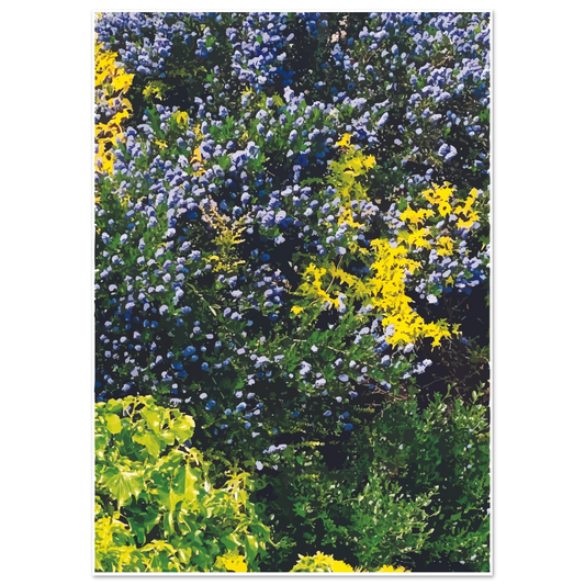 8e12827f-bc9a-431e-8e15-d56bb5c7b3eb