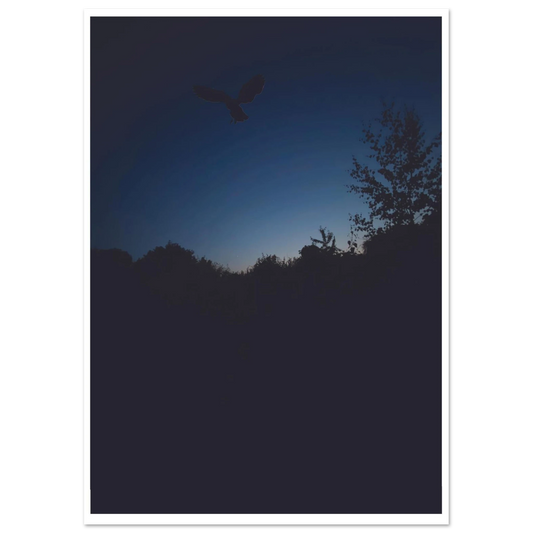 b53467f6-85f5-4d99-8a2b-3e0d02389206
